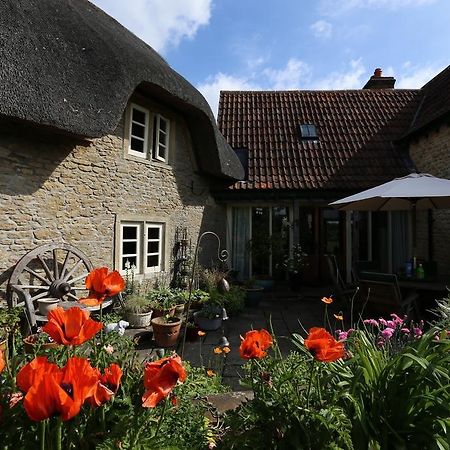 Thatch Cottage Lacock Eksteriør billede