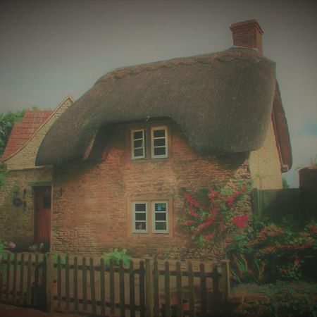 Thatch Cottage Lacock Eksteriør billede