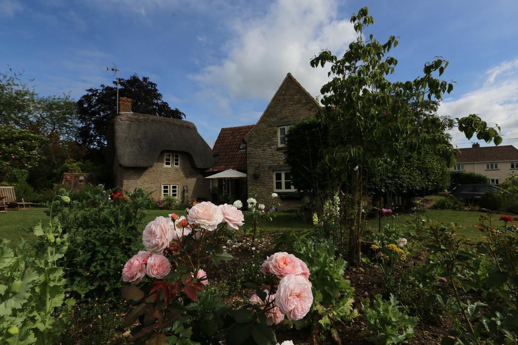 Thatch Cottage Lacock Eksteriør billede