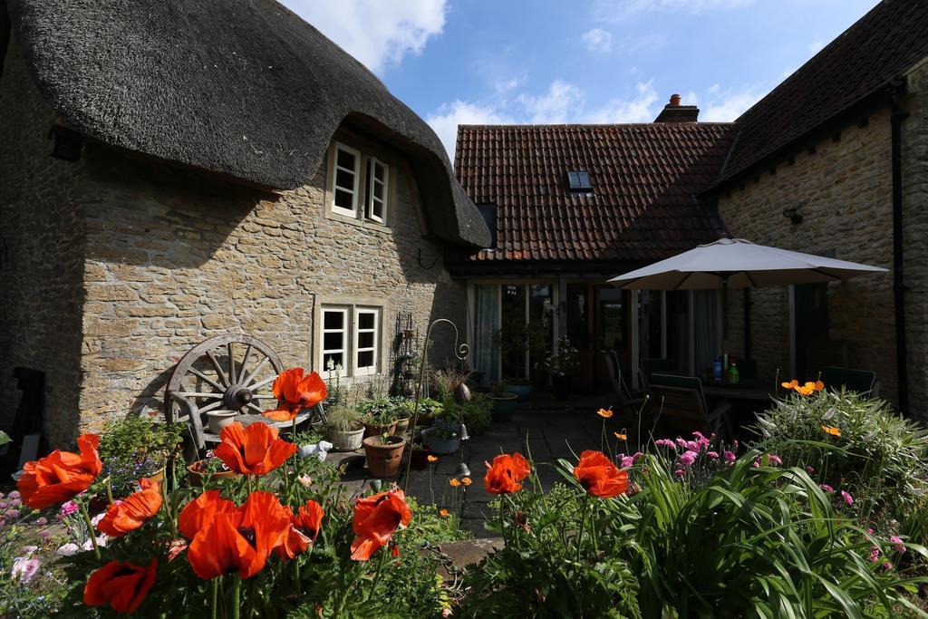Thatch Cottage Lacock Eksteriør billede