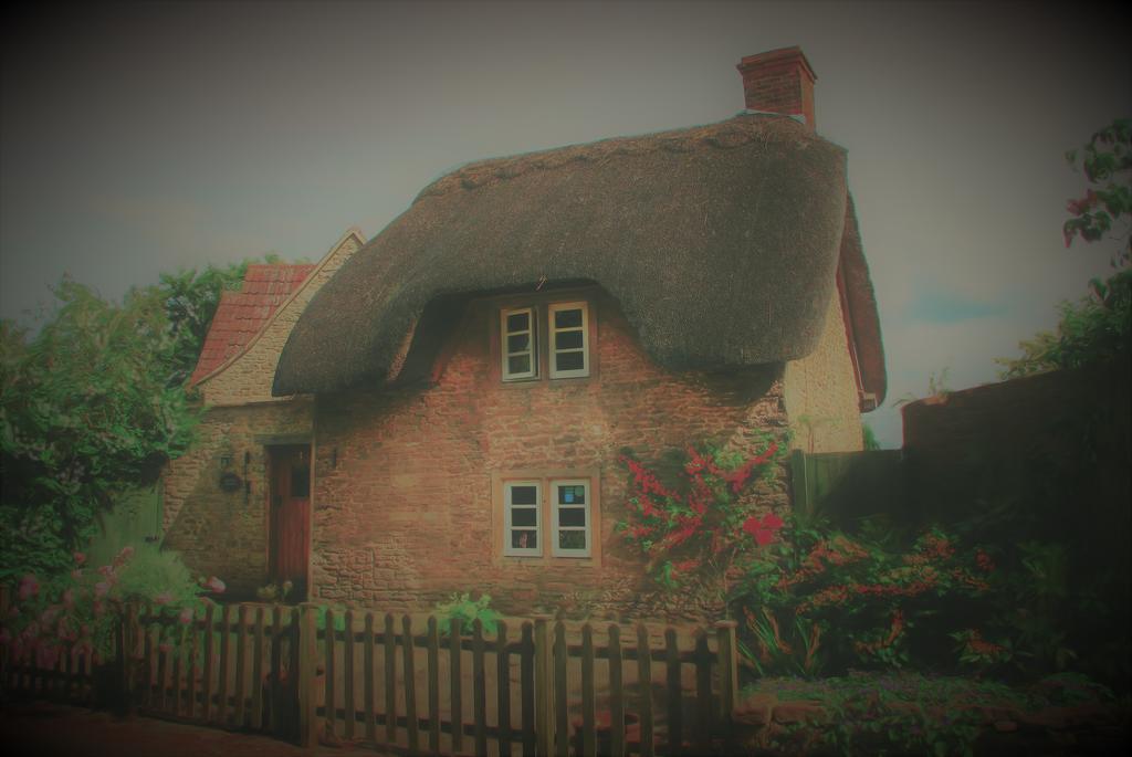 Thatch Cottage Lacock Eksteriør billede